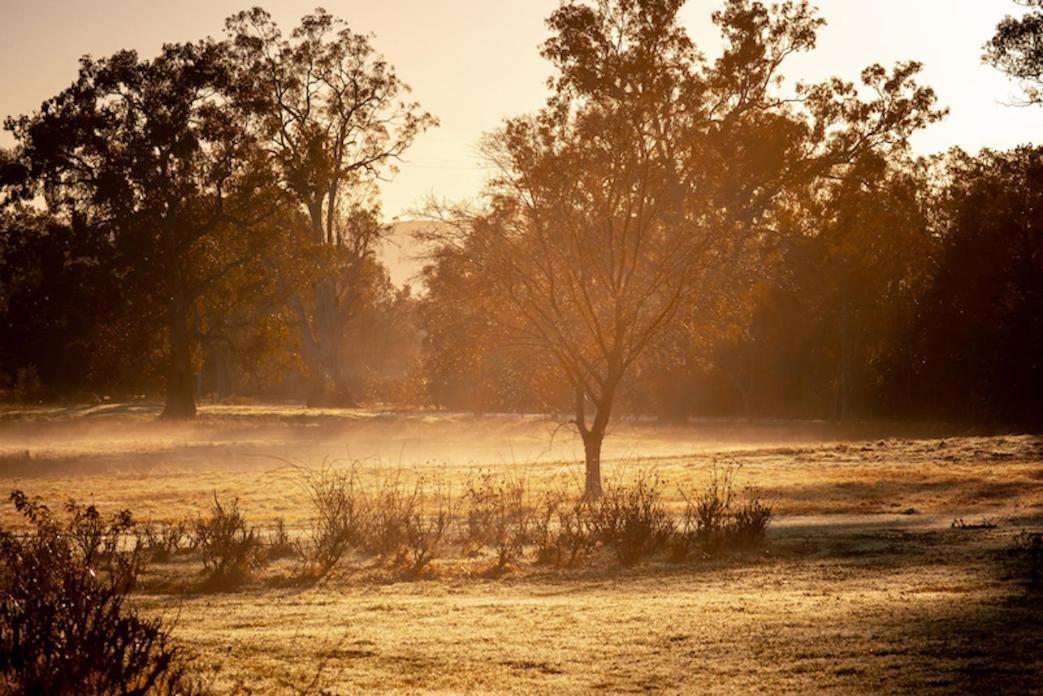 Acheron Valley Country Retreat エクステリア 写真