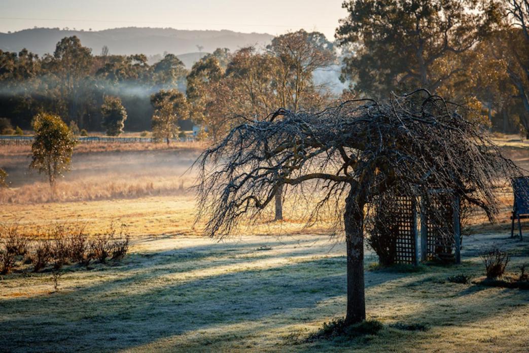 Acheron Valley Country Retreat エクステリア 写真